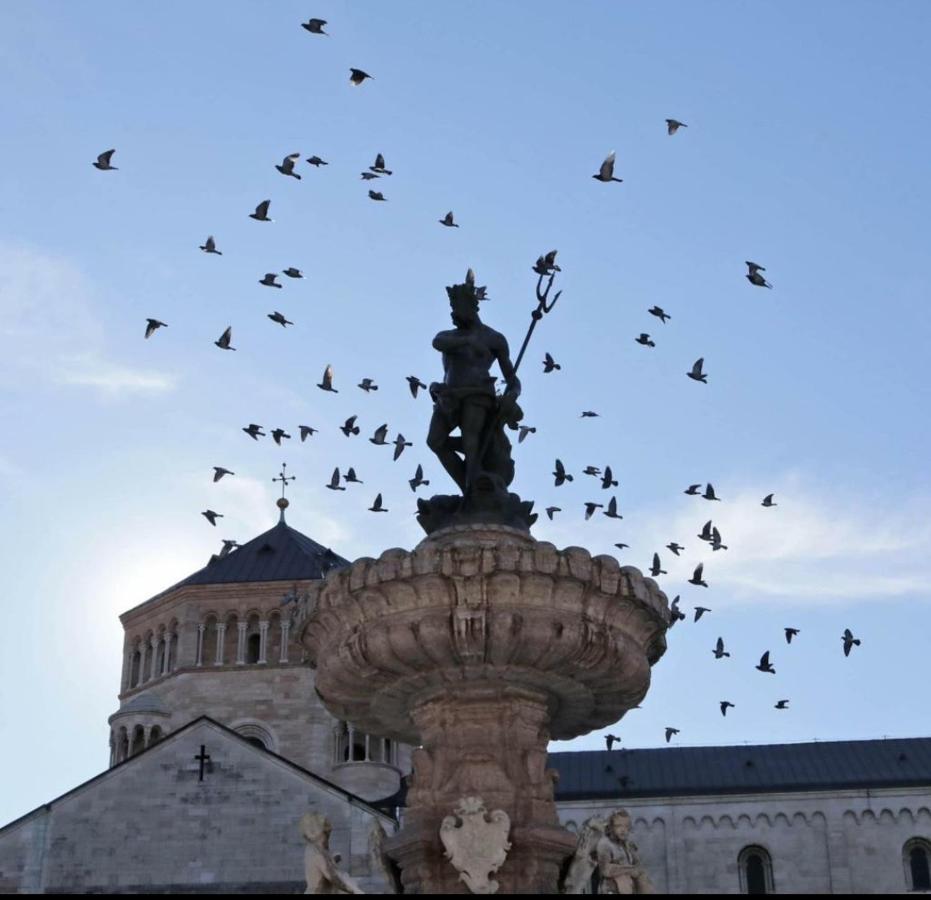 Ca' Rosa Daire Trento Dış mekan fotoğraf